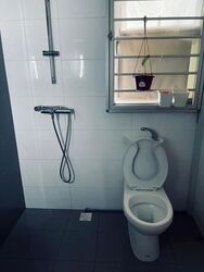 Blk 353A Anchorvale Plains (Sengkang), HDB 2 Rooms #621171181